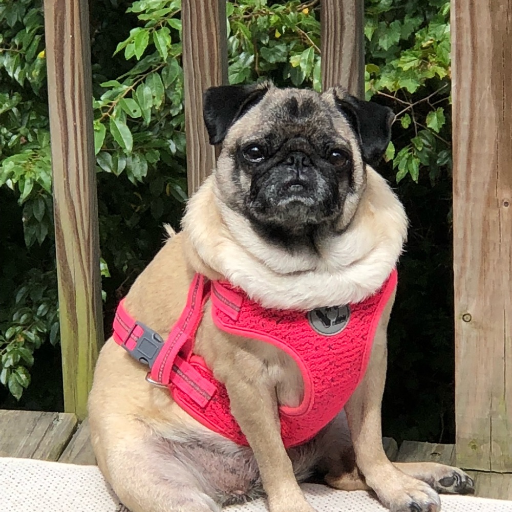 Meet your Posher, Nakia